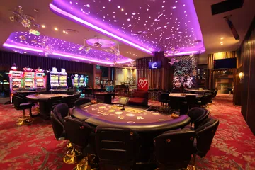 MINIMEO Mobile App — Your complete hub for casino and sports A man focused on his laptop with live stats in the background, highlighting the dedicated sports and gaming features of the MINIMEO mobile app.